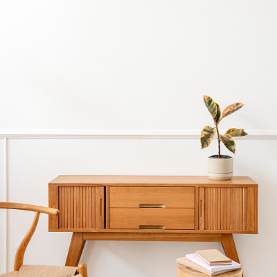 rubber-plant-wooden-sideboard-table